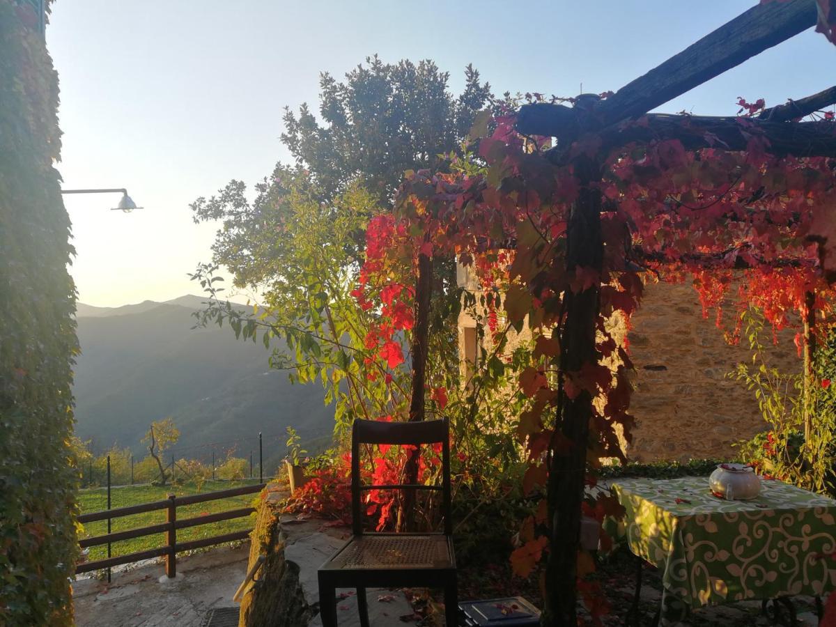 Casale Maria Mafalda Pieve di Teco 외부 사진