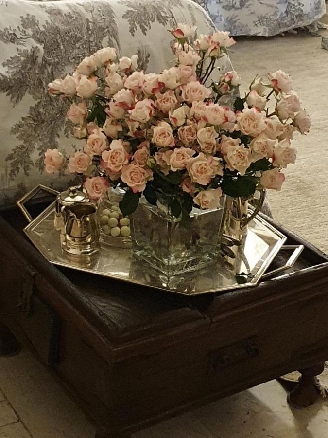 Casale Maria Mafalda Pieve di Teco 외부 사진
