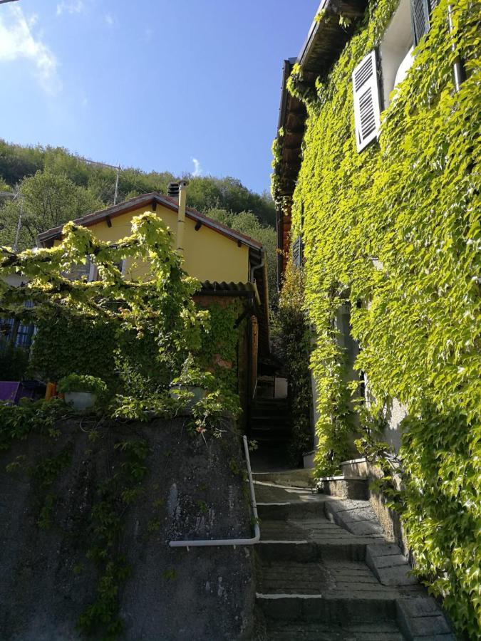 Casale Maria Mafalda Pieve di Teco 외부 사진