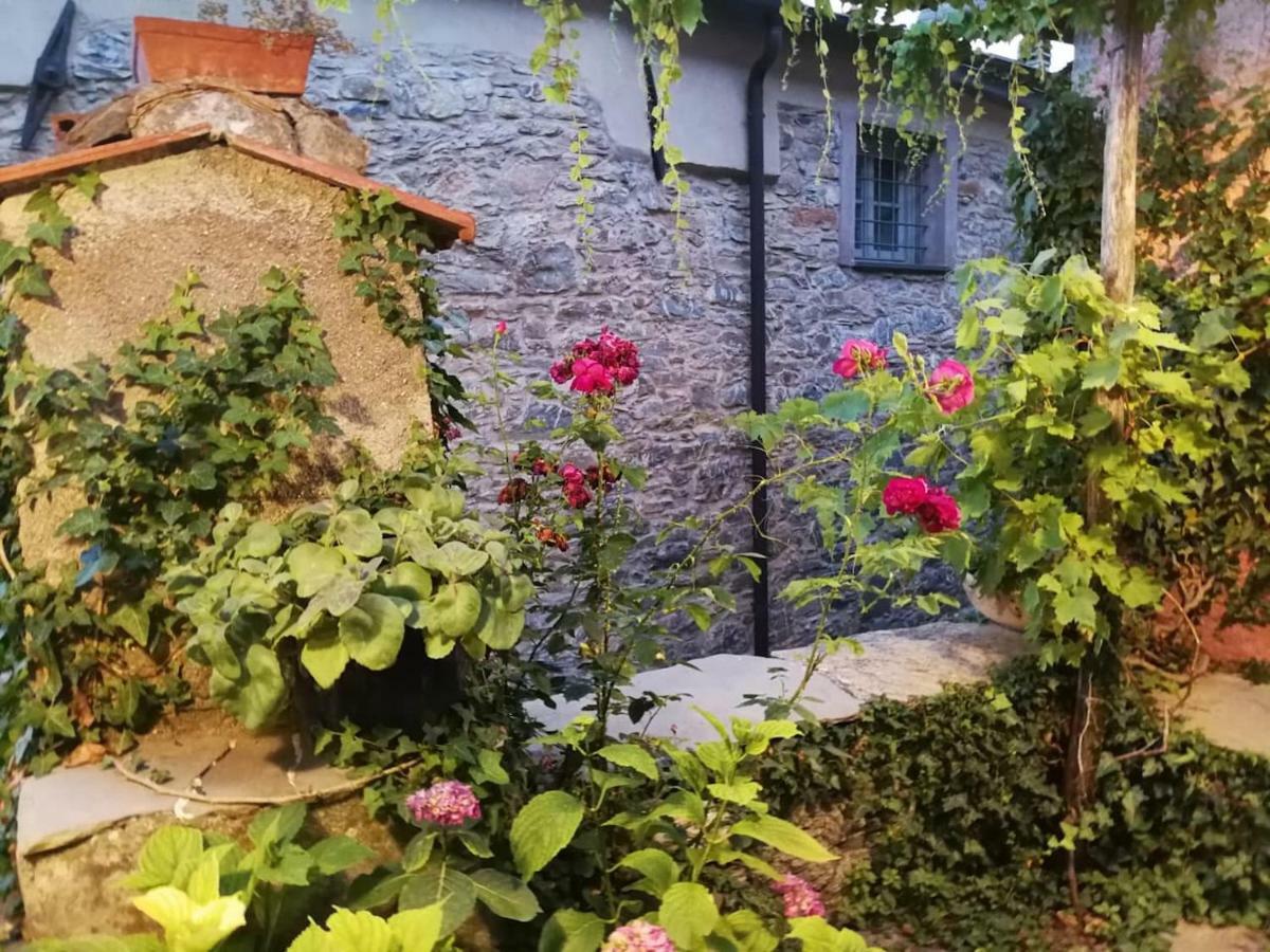 Casale Maria Mafalda Pieve di Teco 외부 사진