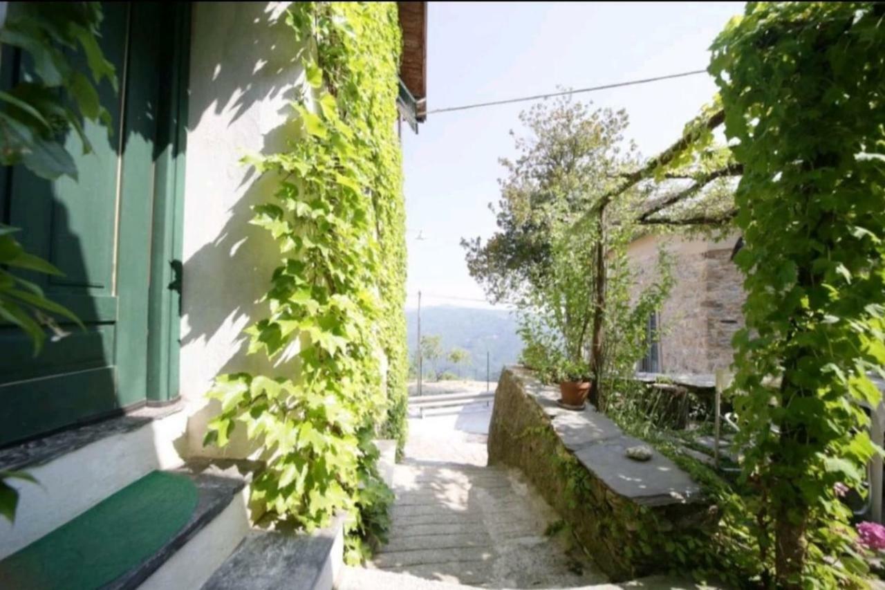 Casale Maria Mafalda Pieve di Teco 외부 사진